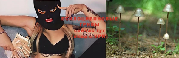 прущая мука Каменск-Шахтинский