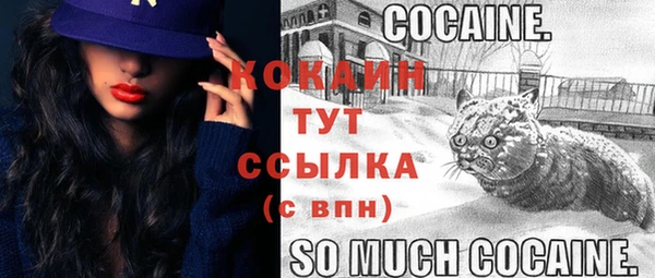 COCAINE Майский
