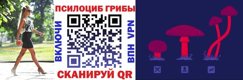 Псилоцибиновые грибы прущие грибы  где купить   МЕГА рабочий сайт  Жигулёвск 
